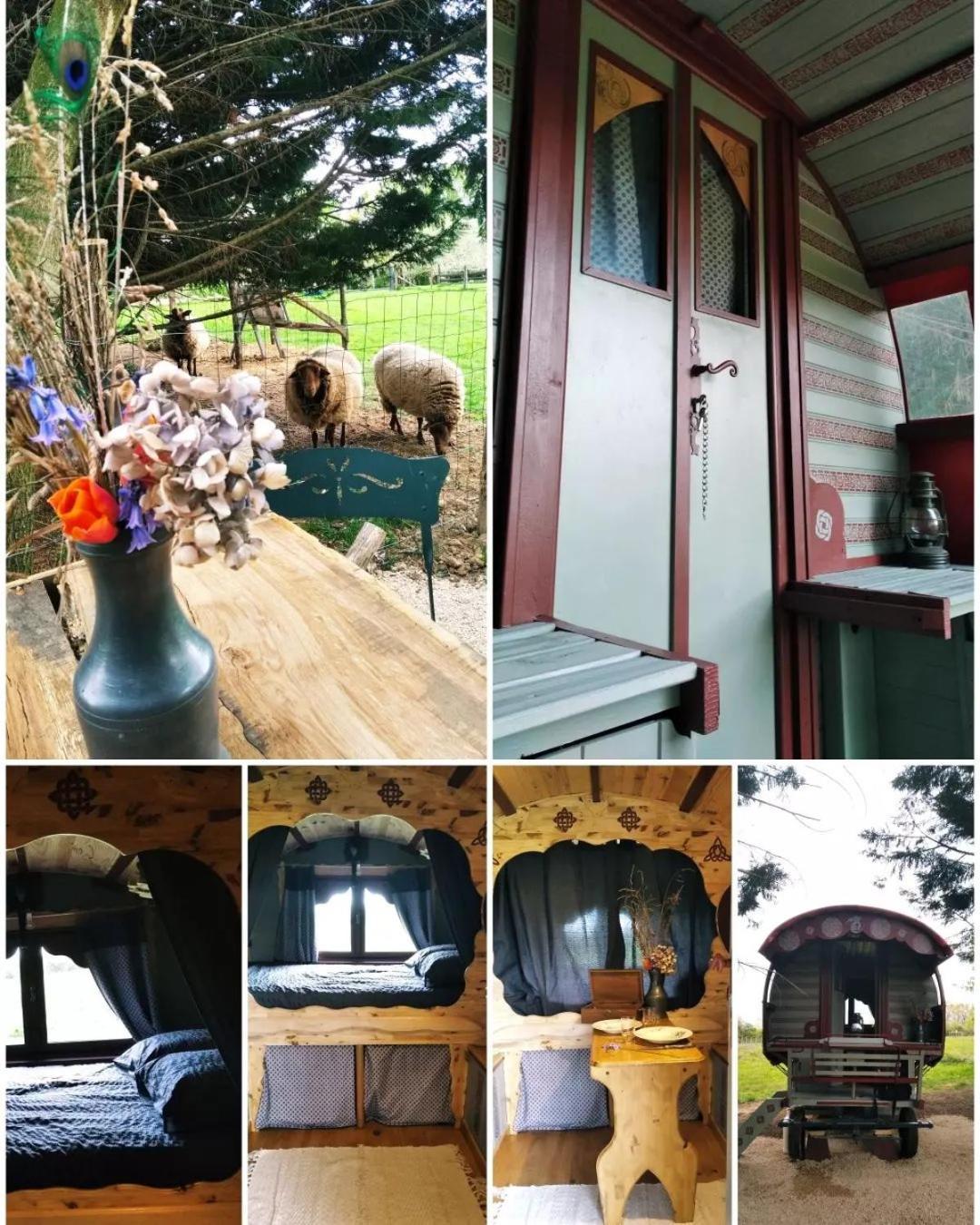 Hotel Roulotte Irlandaise Polly Saint-Vincent-en-Bresse Exteriér fotografie
